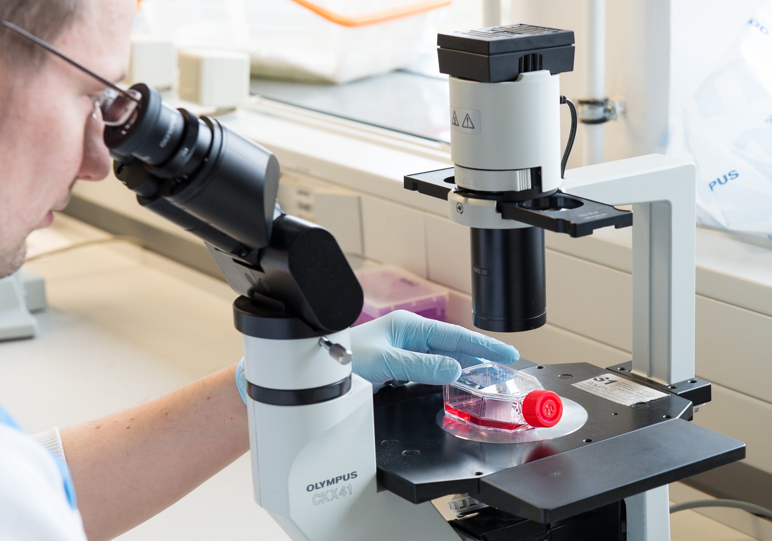 Ein Wissenschaftler untersucht eine Probe unter dem Mikroskop.